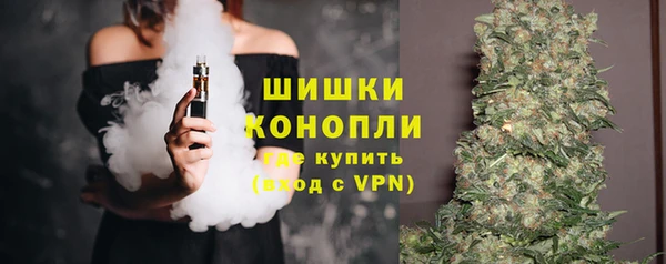 прущая мука Инсар