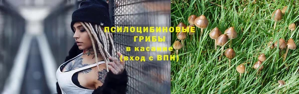 гидропоника Иннополис
