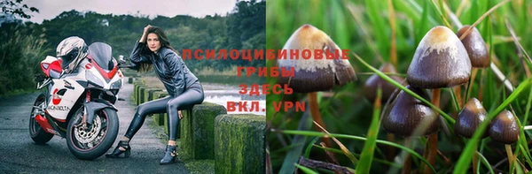 альфа пвп Инта