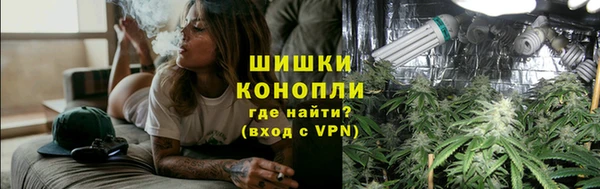 гидропоника Иннополис