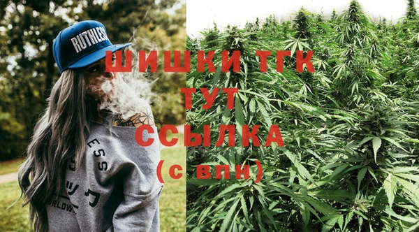 альфа пвп Инта