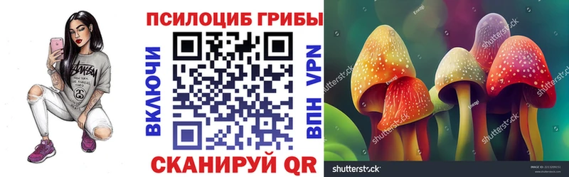 цена   Калач  кракен ТОР  Псилоцибиновые грибы ЛСД 